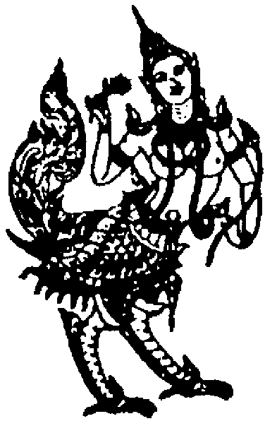 dragon lady graphic